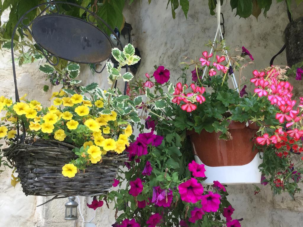 Le Clos De Fernande Corcelles-les-Arts Bagian luar foto