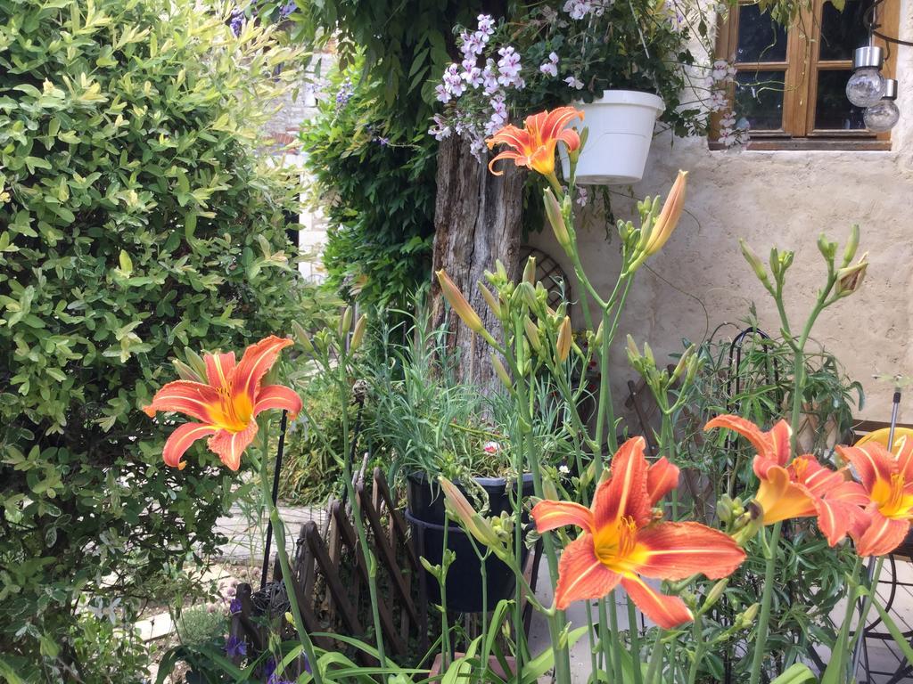 Le Clos De Fernande Corcelles-les-Arts Bagian luar foto